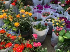 -中环花鸟鱼虫市场