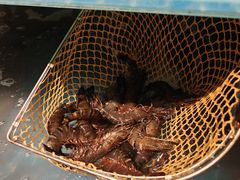 -养牛邓·潮汕牛肉海鲜自助火锅(广州店)