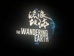 -幸福蓝海国际影城(河西店)