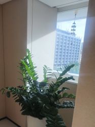 -广东韩妃整形外科医院