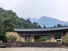 -天目山大树王景区