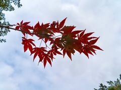 -广州市帽峰山景区
