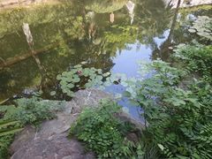 -水绘园
