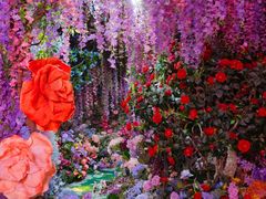 -正佳雨林生态植物园