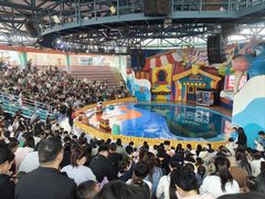 -海合安武汉极地海洋公园