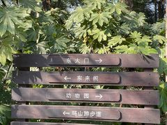 -临平公园(临平街道)