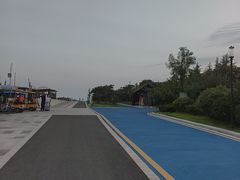 -星光岛