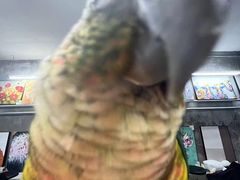 -吾叁·吉趣鸟咖(万科店)