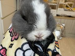 -雨林宠物医院 非犬猫异宠专科