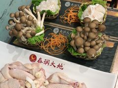 -春润大地海南椰子鸡(沙井京基百纳广场店)