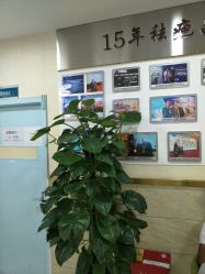 -成都军建医院·疤痕诊疗中心