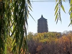 -玲珑塔公园