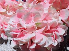 大堂-C'è Amore爱意(亿合城店)