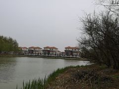 -塘沽森林公园