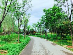 -东郊湿地公园