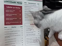 -LESCEDARS Brasserie Bistro香柏树