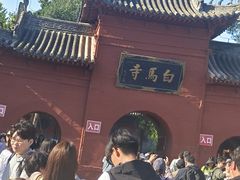 -洛阳白马寺
