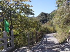 -大岭沟猕猴桃谷风景区