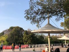 -新江湾城公园