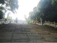 -铁山坪森林公园