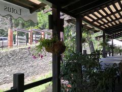 -Local泰莲庭(虹鳟鱼店)