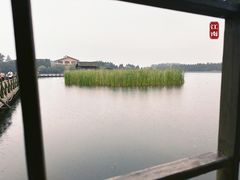 -溱湖国家湿地公园