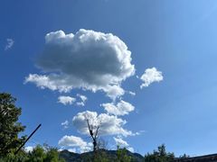 -马武寨驴打滚宴美食村289号(十三陵)