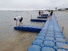 -碧海金沙