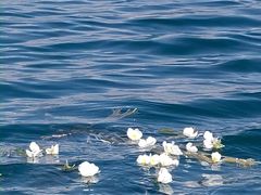 -丽江泸沽湖景区