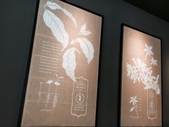 Starbucks-星巴克(泰安万达店)