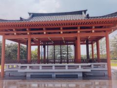 -海珠湖公园