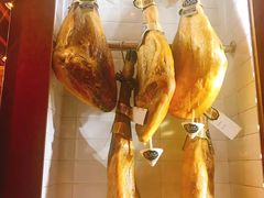 -Tapa Tapa