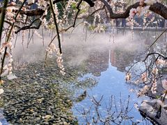 -静安雕塑公园