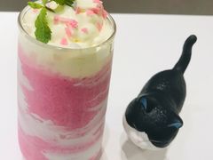 -飞行喵MR PILOT|猫舍·猫咖(静安大融城店)