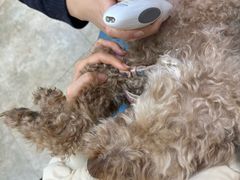 -美联众合动物医院·24h转诊中心