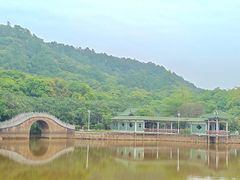 -大雁山风景区