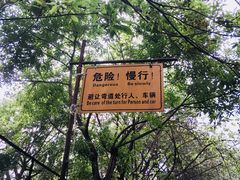-雲记卢妈冷锅串串(中道街总店)
