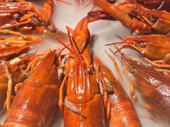 -红盔甲·小龙虾(车公庙店)
