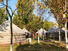 -九十九顶毡房(阜石路店)