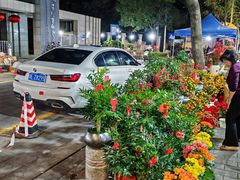 -向西村(地铁站)