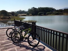 -福建鲤鱼洲酒店