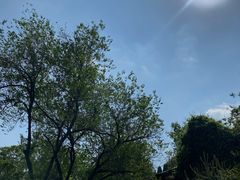 -原山国家森林公园