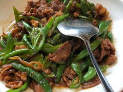 大鸽饭辣椒炒肉-大鸽饭(马王堆店)