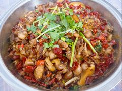 -食神又名厕所兔