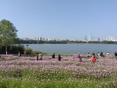 -海珠湖公园