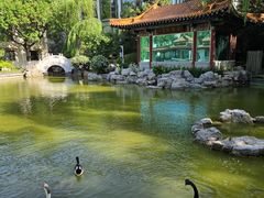 -舜耕山庄四时万和自助餐厅