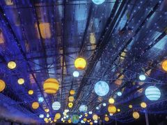 -广东花都香草世界旅游度假区