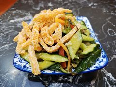 -后卫寨猫耳朵(后卫寨店)