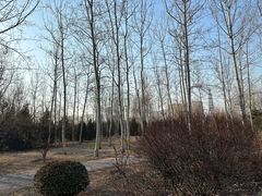 -永定河休闲森林公园