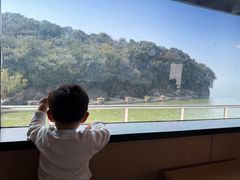 -巢湖姥山岛